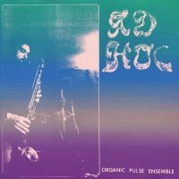 Organic Pulse Ensemble - Ad Hoc ryhmässä ME SUOSITTELEMME / Perjantain julkaisut / 2025-04-18 @ Bengans Skivbutik AB (5591786)