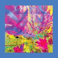 Reds Pinks & Purples The - The Past Is A Garden I Never Fed (N ryhmässä VINYYLI / Kommande / Pop-Rock @ Bengans Skivbutik AB (5591919)