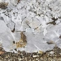 Barnes Tim - Lost Words ryhmässä VINYYLI @ Bengans Skivbutik AB (5592036)