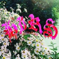 Hirs Collective The - We're Still Here (White Vinyl) ryhmässä VINYYLI @ Bengans Skivbutik AB (5592114)