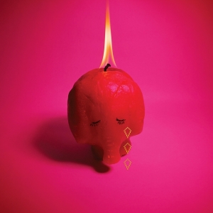 Arcade Fire - Pink Elephant ryhmässä VINYYLI / Pop-Rock @ Bengans Skivbutik AB (5592355)