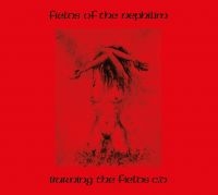 Fields Of The Nephilim - Burning The Fields (2 Cd With Remix ryhmässä CD @ Bengans Skivbutik AB (5592647)