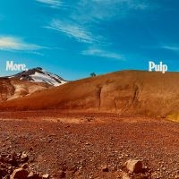 Pulp - More. ryhmässä Kommande / Pop-Rock @ Bengans Skivbutik AB (5592754)