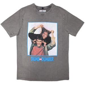Dumb & Dumber Movie - Movie Poster Stone Wash Uni Grey T-Shirt ryhmässä MERCHANDISE / T-paita / Film-Musikal @ Bengans Skivbutik AB (5593176r)