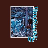Crowe J.D. And The New South - The New South (Expanded) (Root Beer ryhmässä VINYYLI @ Bengans Skivbutik AB (5593309)