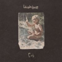 Wunderhorse - Cub (Crystal Clear Vinyl) ryhmässä VINYYLI / Nyheter / Pop-Rock @ Bengans Skivbutik AB (5593381)
