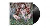 Cannibal Corpse - Worm Infested (Black Vinyl Lp) ryhmässä VINYYLI / Kommande / Hårdrock @ Bengans Skivbutik AB (5594061)
