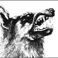 Crippled Black Phoenix - I, Vigilante ryhmässä VINYYLI / Kommande @ Bengans Skivbutik AB (5594235)