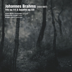 Jean-Marc Fessard & Jennifer Fichet & Diana Ligeti - Brahms: Trio Op. 114 Sonates Op. 120 ryhmässä CD @ Bengans Skivbutik AB (5594394)