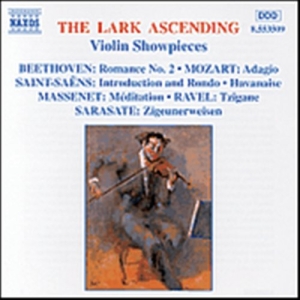 Various - The Lark Ascending ryhmässä Externt_Lager / Naxoslager @ Bengans Skivbutik AB (560134)