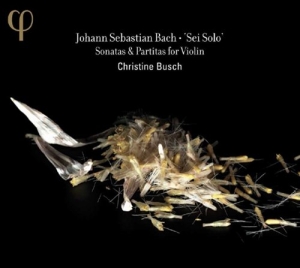 Bach - Sei Solo ryhmässä CD @ Bengans Skivbutik AB (560829)