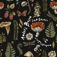 Anders Boson Jazz  Ensemble - Slottsskogen ryhmässä CD @ Bengans Skivbutik AB (5626727)