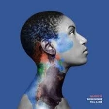 Dominique Fils-Aimé - Namelass ryhmässä VINYYLI / RnB-Soul @ Bengans Skivbutik AB (5626755)