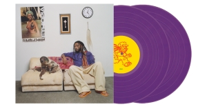 Aminé - 13 Months Of Sunshine (Purple Vinyl Edition) ryhmässä ME SUOSITTELEMME / Bengans Henkilökunnan Vinkit / Käsin poimittu hiphop vuosien varrelta @ Bengans Skivbutik AB (5626920)