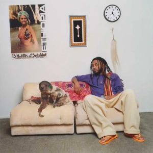 Aminé - 13 Months Of Sunshine (Black Vinyl) ryhmässä VINYYLI / Kommande / Hip Hop-Rap @ Bengans Skivbutik AB (5626921)