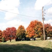 Vegas Water Taxi - Things Are Gonna Be Alright Extende ryhmässä VINYYLI / Pop-Rock @ Bengans Skivbutik AB (5627381)