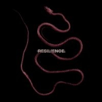 Throatcut - Resilience ryhmässä CD / Kommande / Hårdrock @ Bengans Skivbutik AB (5627382)