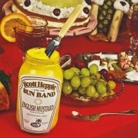 Scott Hepple And The Sun Band - English Mustard (Vinyl Lp) ryhmässä VINYYLI / Pop-Rock @ Bengans Skivbutik AB (5627539)