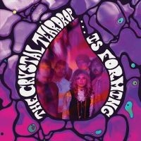 Crystal Teardrop The - Is Forming (Vinyl Lp) ryhmässä ME SUOSITTELEMME / Perjantain julkaisut / 2025-06-06 @ Bengans Skivbutik AB (5627572)