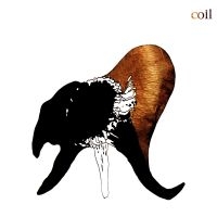 Coil - Black Antlers (Ltd Clear Vinyl) ryhmässä VINYYLI / Dance-Techno @ Bengans Skivbutik AB (5627832)