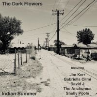 The Dark Flowers - Indian Summer ryhmässä CD / Kommande / Pop-Rock @ Bengans Skivbutik AB (5628001)