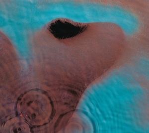 Pink Floyd - Meddle ryhmässä VINYYLI / Pop-Rock @ Bengans Skivbutik AB (5628759)