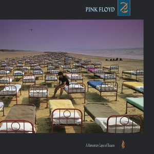 Pink Floyd - A Momentary Lapse Of Reason ryhmässä ME SUOSITTELEMME / Suosituimmat Vinyl-klassikot @ Bengans Skivbutik AB (5628763)