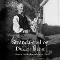 Div Art - Stranda-Spel Og Dekka-Låttar ryhmässä ME SUOSITTELEMME / Perjantain julkaisut / 2025-05-30 @ Bengans Skivbutik AB (5628989)