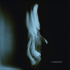 Tom Odell - A Wonderful Life ryhmässä VINYYLI @ Bengans Skivbutik AB (5629412)