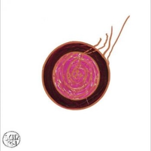 Sun Ra - Sleeping Beauty ryhmässä ME SUOSITTELEMME / Perjantain julkaisut / 2025-07-18 @ Bengans Skivbutik AB (5629681)