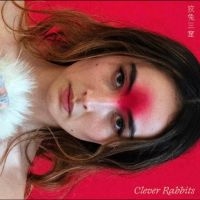 Ann Liu Cannon - Clever Rabbits ryhmässä VINYYLI / Kommande / Svensk Folkmusik @ Bengans Skivbutik AB (5630085)