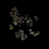 Deathcrash - Return ryhmässä CD / Pop-Rock @ Bengans Skivbutik AB (5631107)