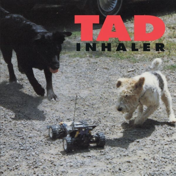 Tad - Inhaler ryhmässä CD / Pop-Rock @ Bengans Skivbutik AB (5631176)