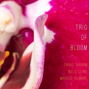 Trio Of Bloom - Trio Of Bloom ryhmässä CD @ Bengans Skivbutik AB (5631206)