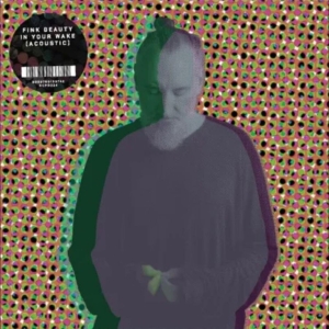 Fink - Beauty In Your Wake Acoustic ryhmässä VINYYLI @ Bengans Skivbutik AB (5631248)