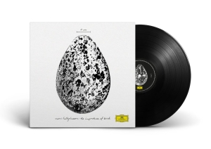 Snorri Hallgrímsson - The Importance Of Birds ryhmässä VINYYLI / Kommande / Klassiskt @ Bengans Skivbutik AB (5632298)