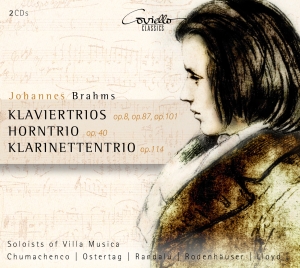 Brahms Johannnes - Piano Trios Opp.8-87-101/Horn Trio ryhmässä CD / Klassiskt @ Bengans Skivbutik AB (5632536)