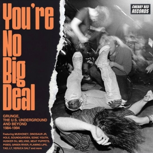 Various Artists - You're No Big Deal - Grunge, The U.S. Underground And Beyond 1984-1994 (4CD) ryhmässä ME SUOSITTELEMME / Perjantain julkaisut / 2025-09-26 @ Bengans Skivbutik AB (5632617)