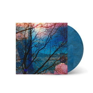 Idlewild - Idlewild ryhmässä VINYYLI / Kommande / Pop-Rock @ Bengans Skivbutik AB (5632741)