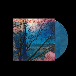 Idlewild - Idlewild ryhmässä ME SUOSITTELEMME / Perjantain julkaisut / 2025-10-03 @ Bengans Skivbutik AB (5632741)