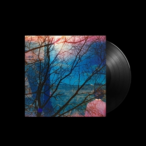 Idlewild - Idlewild ryhmässä VINYYLI / Kommande / Pop-Rock @ Bengans Skivbutik AB (5632742)