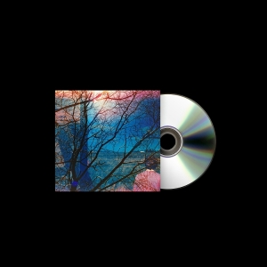 Idlewild - Idlewild ryhmässä ME SUOSITTELEMME / Perjantain julkaisut / 2025-10-03 @ Bengans Skivbutik AB (5632743)