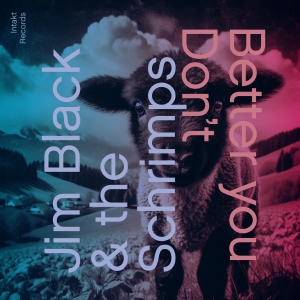 Jim Black & The Schrimps - Better You Don't ryhmässä CD / Kommande / Jazz @ Bengans Skivbutik AB (5633186)