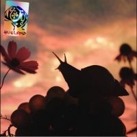 No Joy - Bugland ryhmässä VINYYLI / Kommande / Pop-Rock @ Bengans Skivbutik AB (5633328)
