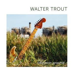 Walter Trout - Common Ground ryhmässä VINYYLI / Kommande / Blues @ Bengans Skivbutik AB (5633424)