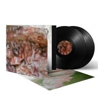 Fauna - Ochre & Ash (2 Lp Black Vinyl) ryhmässä VINYYLI / Kommande / Hårdrock @ Bengans Skivbutik AB (5633474)