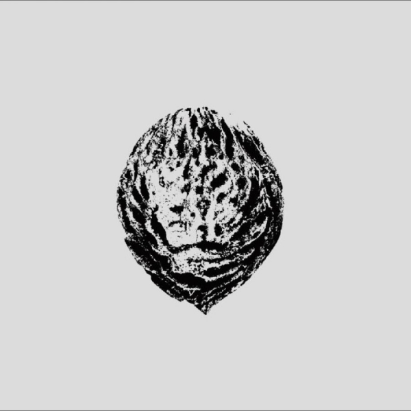 Black Lips - Bebop Armageddon (Detours & Offcuts ryhmässä ME SUOSITTELEMME / Perjantain julkaisut / 2025-09-19 @ Bengans Skivbutik AB (5633666)