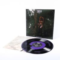 Castle Rat - Into The Realm Lp ryhmässä VINYYLI / Kommande / Hårdrock @ Bengans Skivbutik AB (5633673)