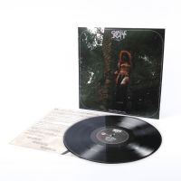 Castle Rat - Into The Realm Lp ryhmässä VINYYLI / Kommande / Hårdrock @ Bengans Skivbutik AB (5633674)