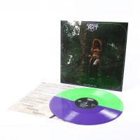 Castle Rat - Into The Realm Lp ryhmässä VINYYLI / Kommande / Hårdrock @ Bengans Skivbutik AB (5633675)